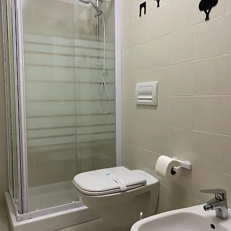 Domus Sassi
